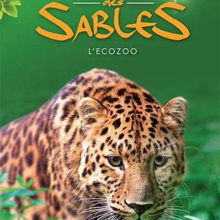 度假居 L'oceane 莱萨布勒-多洛讷